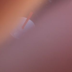 Meet your Posher, Jada